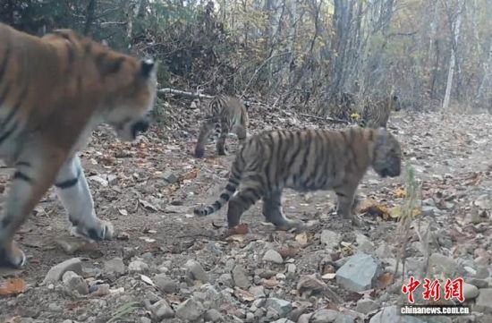 2025���ږ|���������ҹ��@�Ĕz���Ė|������(��ҕ��ý���D)