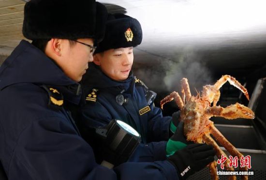 �L�����P(gu��n)���٬q�����P(gu��n)�P(gu��n)�T���M(j��n)�ڵ���з�_չ���(y��n)�������̽��V �z