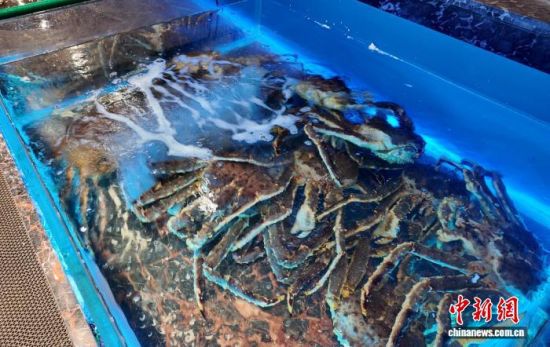 ���B(y��ng)����ĵ���з����߅��ί������ ���D