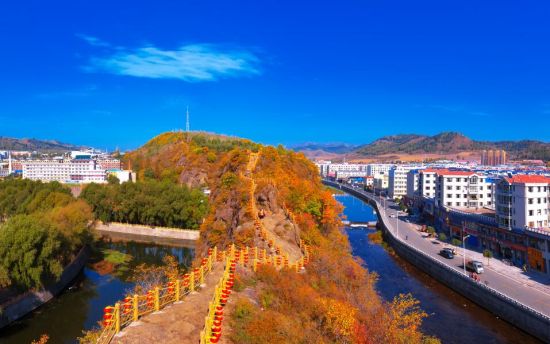 ���D�h���A�śr