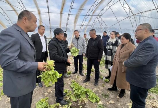 �G�@�^(q��)�_չ�y(t��ng)һ��(zh��n)�������r�I(y��)���a�W���á����ӻ��